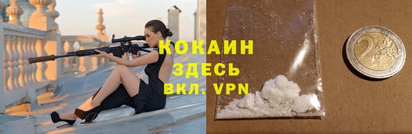 соль ск Арсеньев