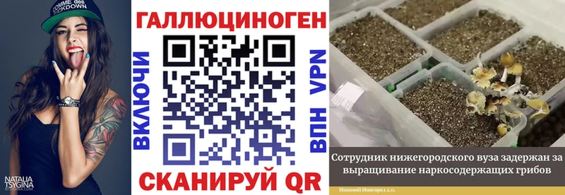 Псилоцибиновые грибы Psilocybe  мориарти как зайти  Пустошка  OMG сайт 